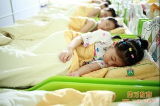 伟才教育 超越幼儿园加盟，全面构建儿童成长生态圈