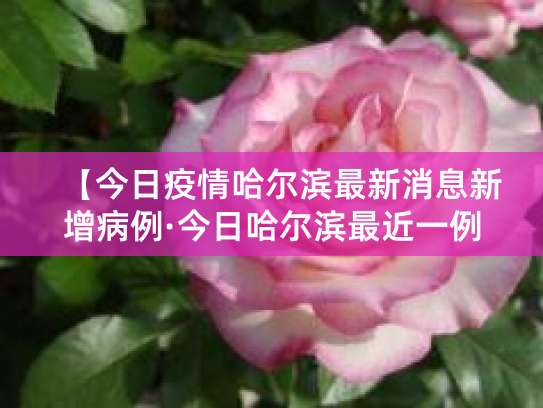 哈尔滨疫情下幼儿园外托管服务的应对与反思
